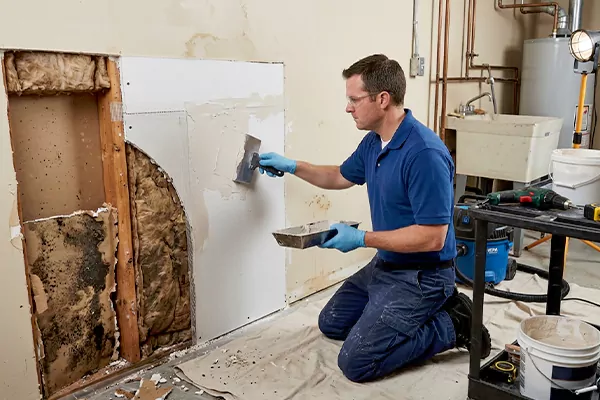Mold and Drywall Repair Spanaway