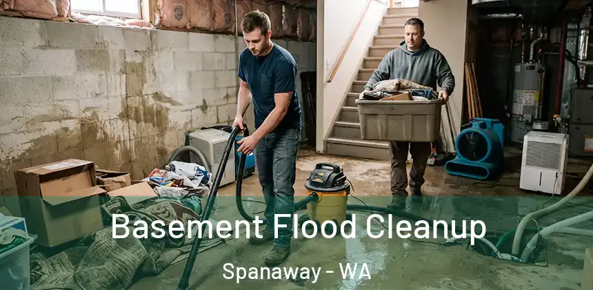 Basement Flood Cleanup Spanaway - WA