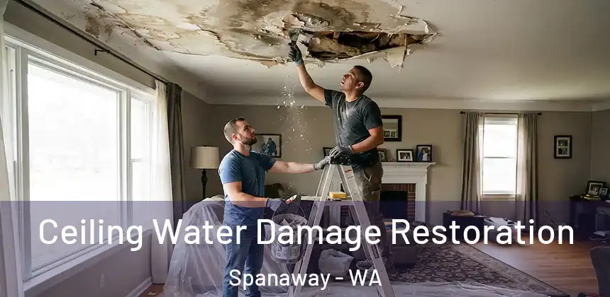  Ceiling Water Damage Restoration Spanaway - WA