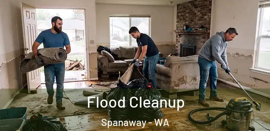 Flood Cleanup Spanaway - WA