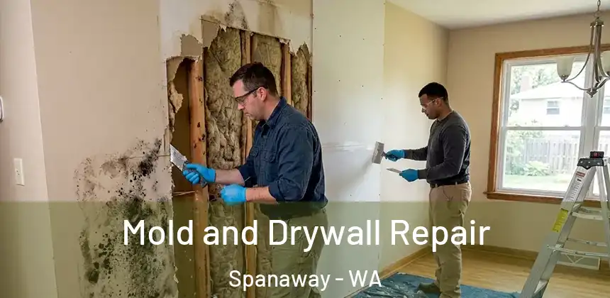 Mold and Drywall Repair Spanaway - WA
