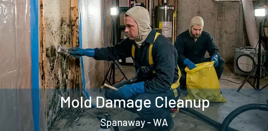 Mold Damage Cleanup Spanaway - WA