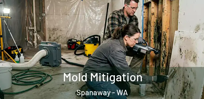 Mold Mitigation Spanaway - WA