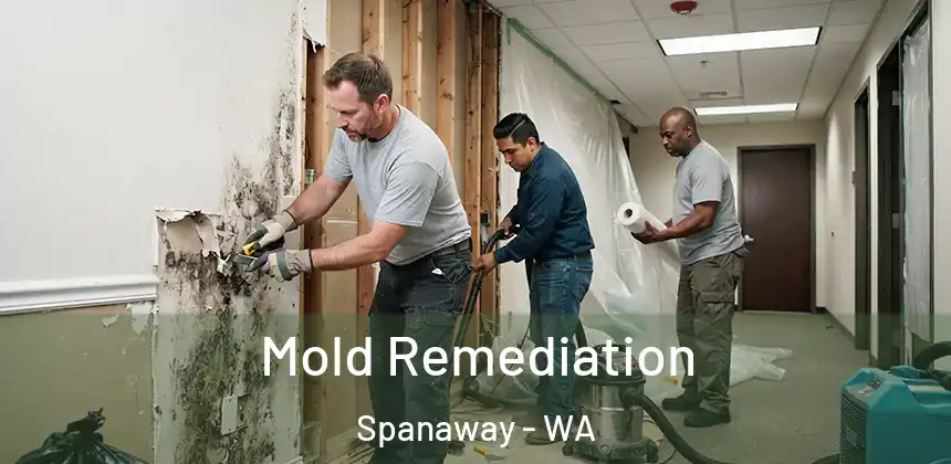 Mold Remediation Spanaway - WA