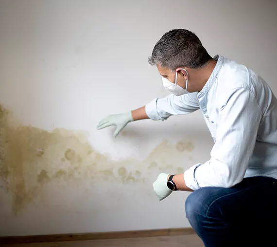 Mold Removal Service in Spanaway, WA
