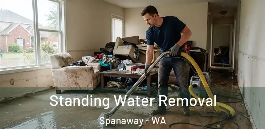  Standing Water Removal Spanaway - WA