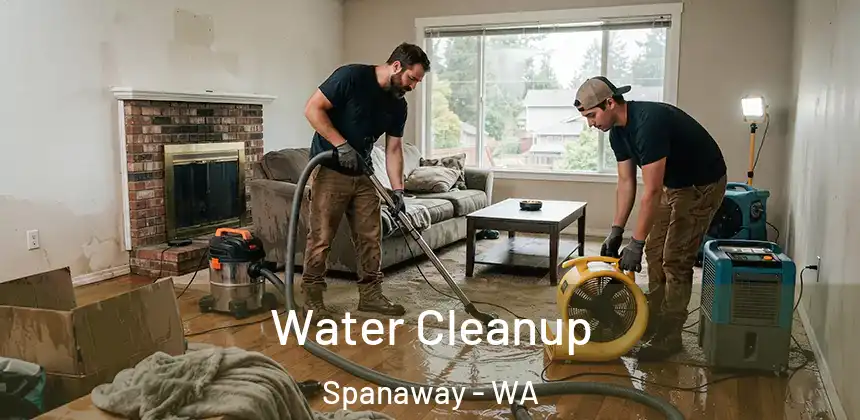 Water Cleanup Spanaway - WA