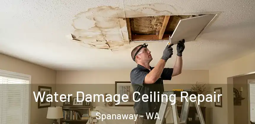  Water Damage Ceiling Repair Spanaway - WA