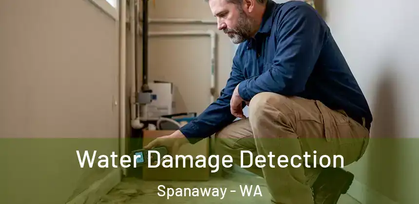 Water Damage Detection Spanaway - WA