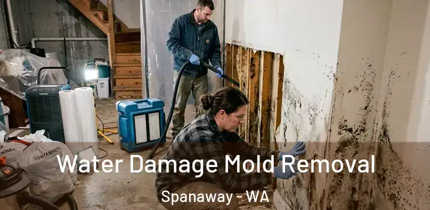  Water Damage Mold Removal Spanaway - WA