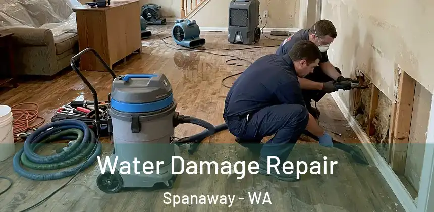  Water Damage Repair Spanaway - WA