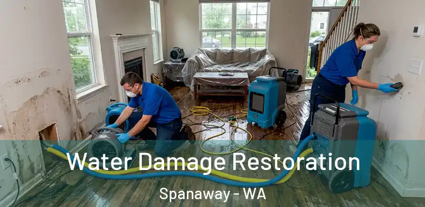 Water Damage Restoration Spanaway - WA