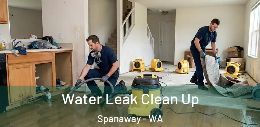  Water Leak Clean Up Spanaway - WA