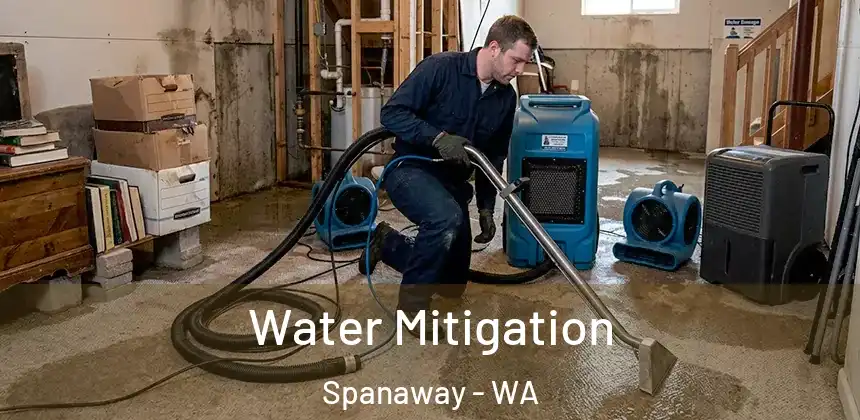 Water Mitigation Spanaway - WA