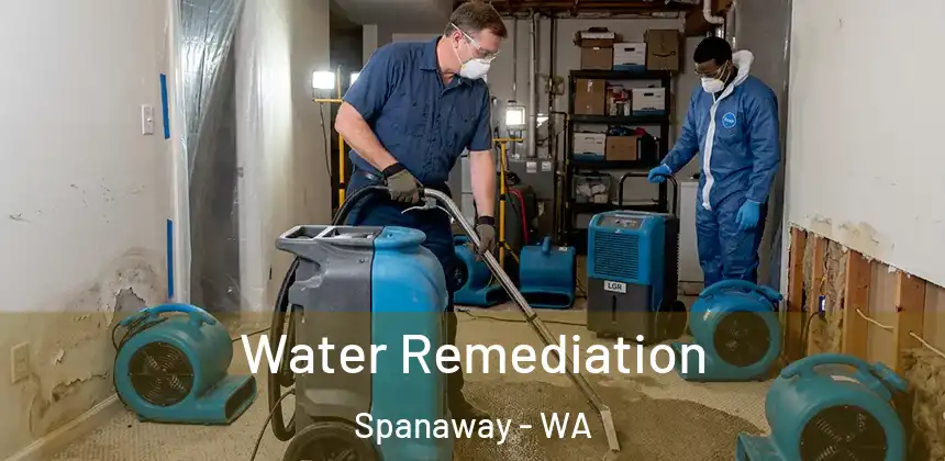  Water Remediation Spanaway - WA