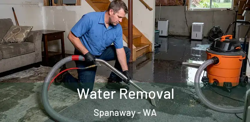 Water Removal Spanaway - WA