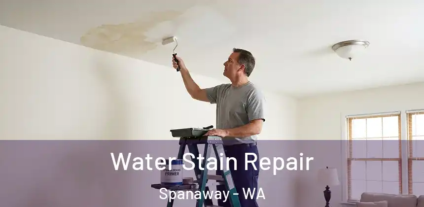  Water Stain Repair Spanaway - WA